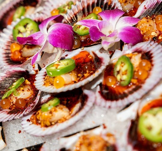 Oysters with orchids on ice